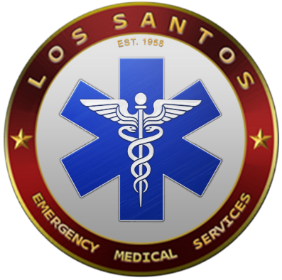 EMS Logo